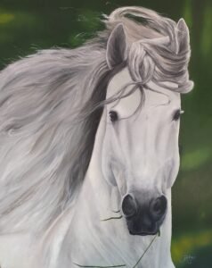 Pintura a óleo de um Cavalo Branco 80x100 cm