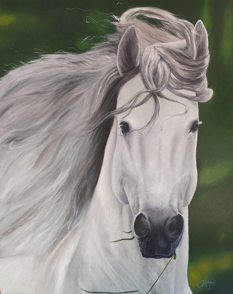 Pintura a óleo de um Cavalo Branco 80x100 cm