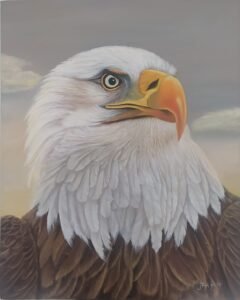 Pintura a óleo de uma águia 40x50 cm