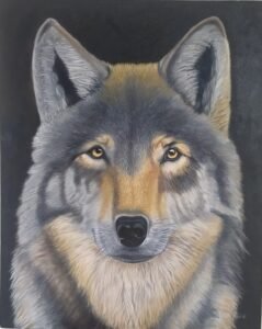 Pintura de um Lobo 40x50 cm